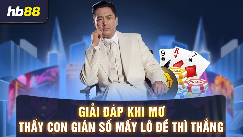 con gián số mấy lô đề