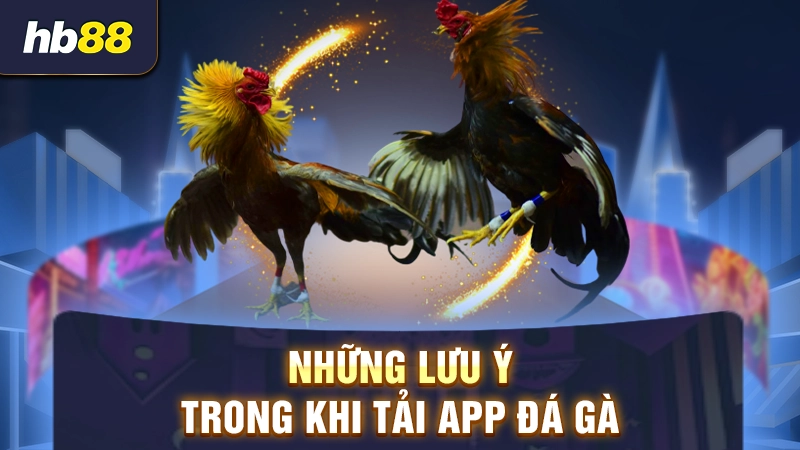 Lưu ý khi tải app đá gà online