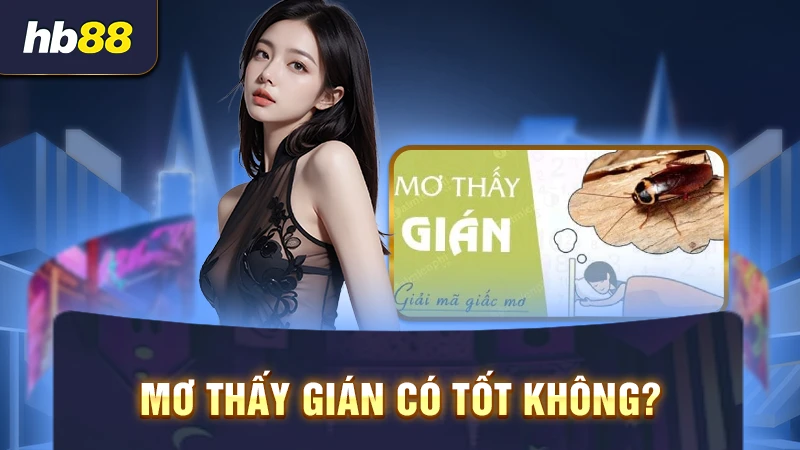 Mơ thấy gián có phải điềm báo tốt