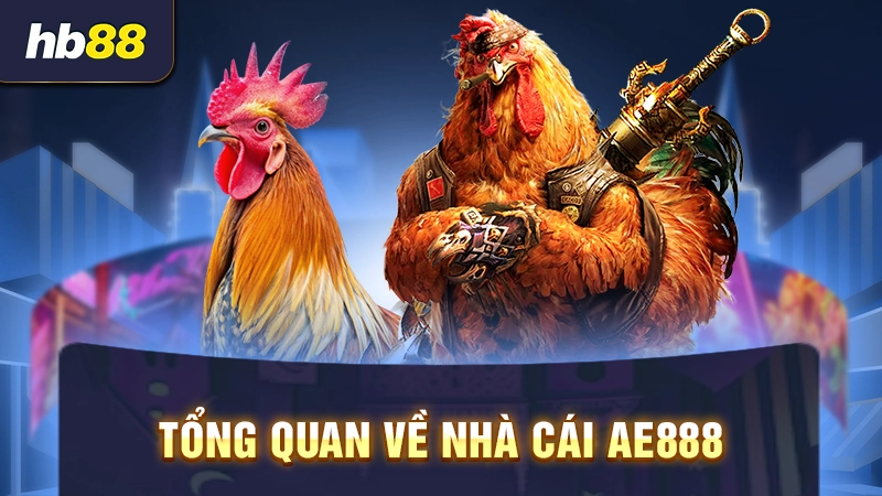 Tổng quan về nhà cái đá gà AE888